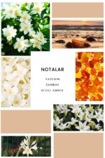 Ixora K236 Aristone Edp Kadın Parfüm - Görsel 2