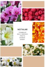 Ixora K261 Perfect Edp Kadın Parfüm - Görsel 2