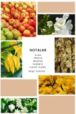 Ixora K267 Fateful Edp Kadın Parfüm - Görsel 2