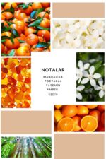 Ixora K284 Fantastic Edp Kadın Parfüm - Görsel 2