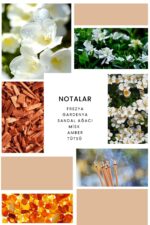 Ixora K285 Love Fire Edp Kadın Parfüm - Görsel 2