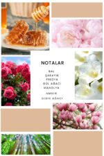 Ixora K294 Rose Edp Kadın Parfüm - Görsel 2