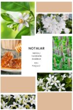 Ixora K303 Vetrina Edp Kadın Parfüm - Görsel 2