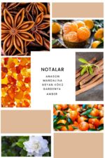 Ixora K312 Sexy Edp Kadın Parfüm - Görsel 3