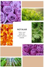 Ixora K316 Princess Edp Kadın Parfüm - Görsel 2