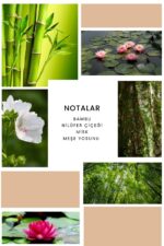 Ixora K317 Omny Edp Kadın Parfüm - Görsel 2