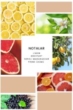 Ixora K319 Pixie Edp Kadın Parfüm - Görsel 2