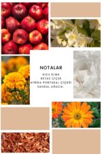 Ixora K326 Orange Edp Kadın Parfüm 50 ml - Görsel 2