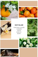 Ixora K336 Purple Edp Kadın Parfüm 100 ml - Görsel 2