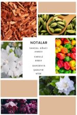 Ixora K359 Noir Edp Kadın Parfüm - Görsel 2