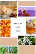 Ixora K361 Kiki Edp Kadın Parfüm - Görsel 3