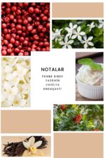 Ixora K362 Actual Edp Kadın Parfüm - Görsel 3