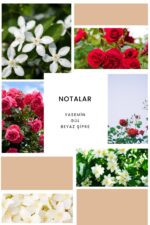 Ixora K363 Figure Edp Kadın Parfüm - Görsel 3