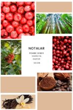 Ixora K373 Black Orient Edp Kadın Parfüm - Görsel 3