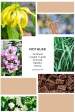 Ixora K377 Velvet Edp Kadın Parfüm 100 ml - Görsel 2