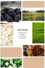 Ixora K380 Munequita Edp Kadın Parfüm - Görsel 3