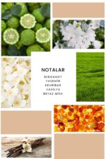 Ixora K381 Paradoxe Edp Kadın Parfüm - Görsel 3