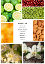 İxora Niche Libentia Unisex EDP Parfüm 100 ml - Görsel 2