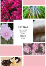 ixora Sacre Kadın Parfüm 50 ML - Görsel 2