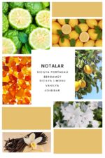 Ixora Valor Caddy Parfüm Unisex Edp 100 ml - Görsel 3