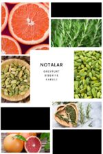 Ixora E246 Andreo Erkek Parfüm Edp - Görsel 3