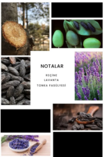 İxora Pedro Body Mist Erkek 200 ml - Görsel 2