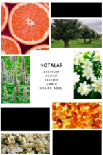 İxora Diego Body Mist Erkek 200 ml - Görsel 2