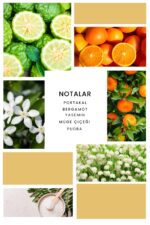 Ixora Valor Javia Parfüm Unisex Edp 100 ml - Görsel 3