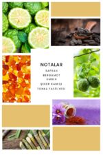 Ixora Valor Justo Parfüm Unisex Edp 100 ml - Görsel 3