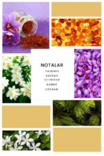 Ixora Valor Marcius Parfüm Unisex Edp 100 ml - Görsel 3