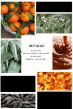 Ixora E287 Pacifique Erkek Parfüm Edp - Görsel 3