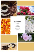 Ixora Valor Tonia Parfüm Unisex Edp 100 ml - Görsel 3