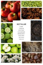 Ixora Warrior Parfüm 100 ml - Görsel 2